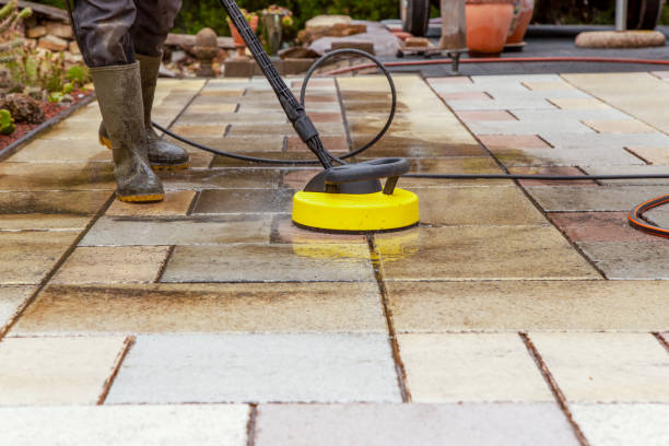Best Pre-Holiday Cleaning  in Hays, NC
